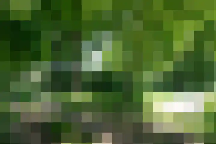 Nieuwe Erven 12 Haaren thumbnail 49