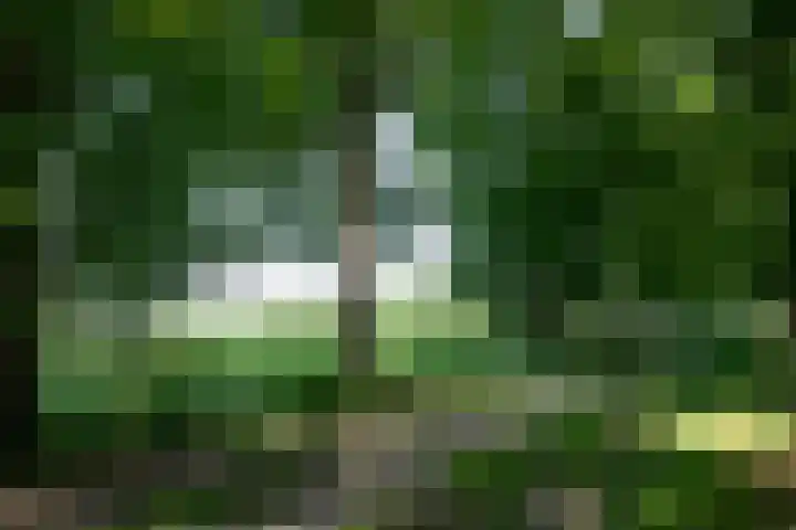 Nieuwe Erven 12 Haaren thumbnail 50