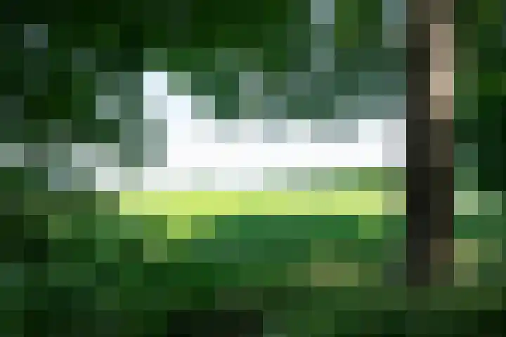 Nieuwe Erven 12 Haaren thumbnail 51
