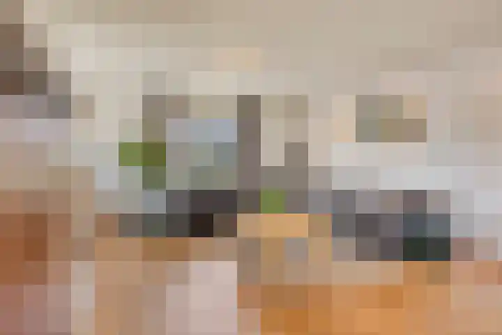 Nieuwe Erven 16 a Heesch thumbnail 10