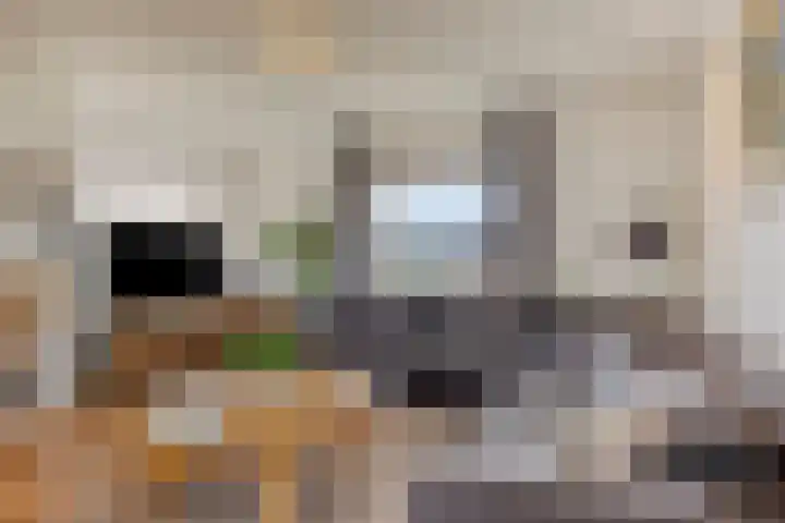 Nieuwe Erven 16 a Heesch thumbnail 11