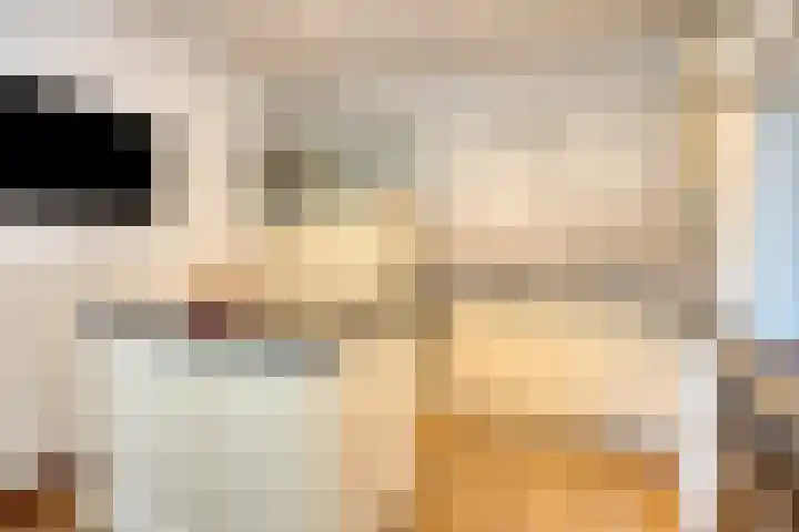 Nieuwe Erven 16 a Heesch thumbnail 17