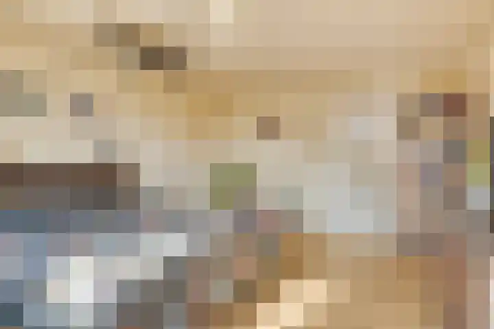 Nieuwe Erven 16 a Heesch thumbnail 24