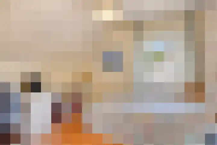 Nieuwe Erven 16 a Heesch thumbnail 28