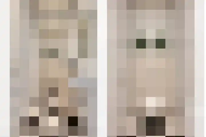 Nieuwe Erven 16 a Heesch thumbnail 44