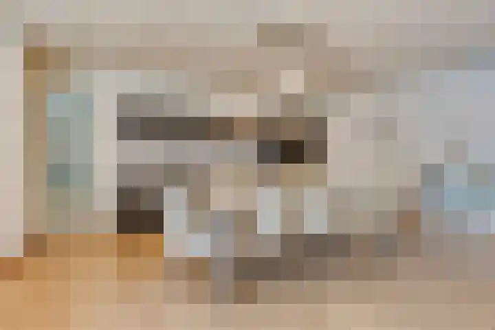 Nieuwe Erven 16 a Heesch thumbnail 47