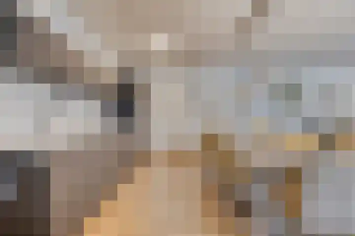Nieuwe Erven 16 a Heesch thumbnail 48
