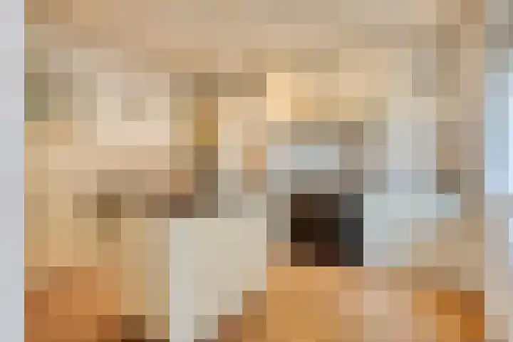 Nieuwe Erven 16 a Heesch thumbnail 5