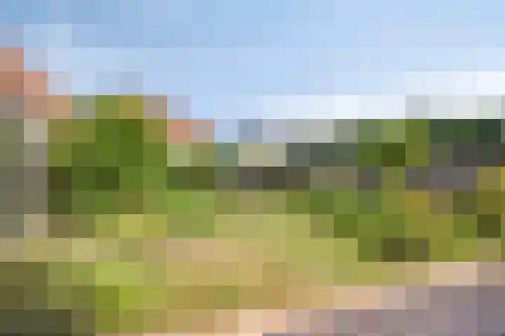Nieuwe Erven 16 a Heesch thumbnail 57