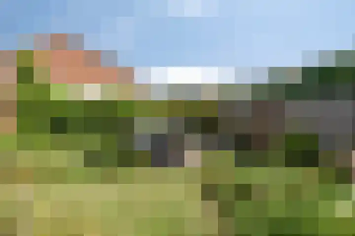 Nieuwe Erven 16 a Heesch thumbnail 58