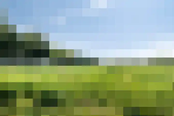 Nieuwe Erven 16 a Heesch thumbnail 67
