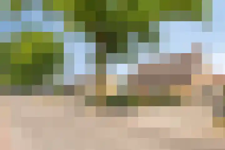 Nieuwe Erven 16 a Heesch thumbnail 70
