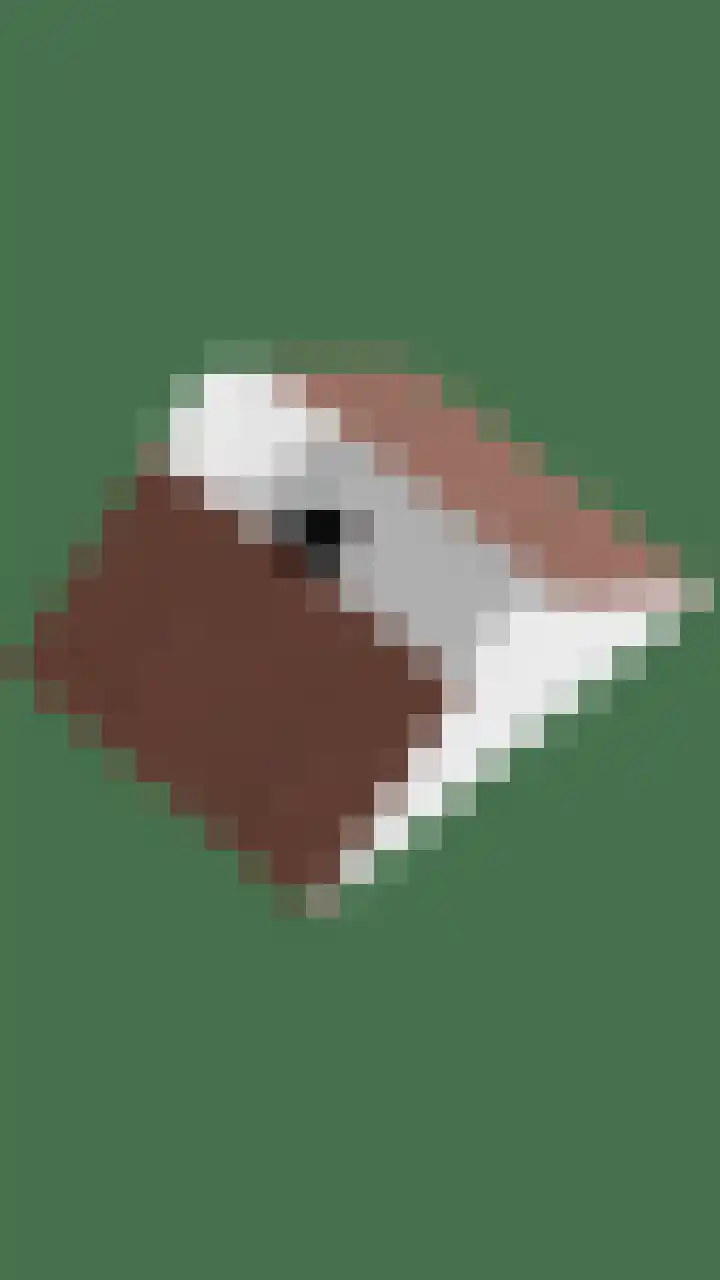 Nieuwe Erven 16 a Heesch thumbnail 81