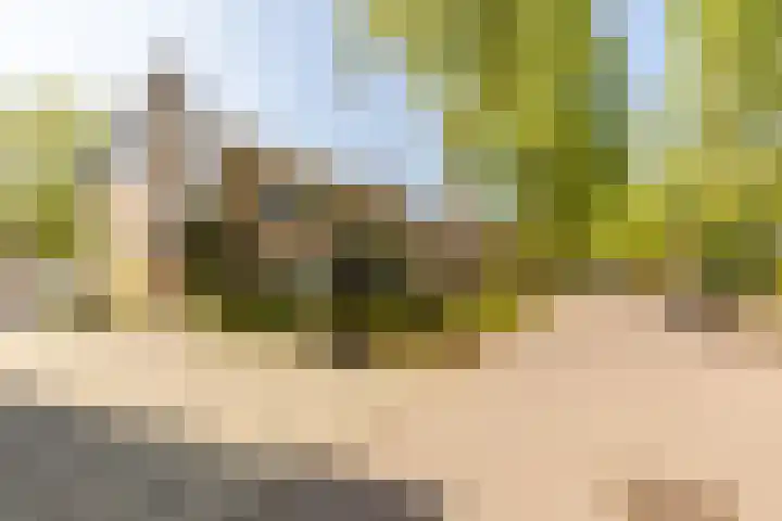 Nieuwe Erven 19 Vught