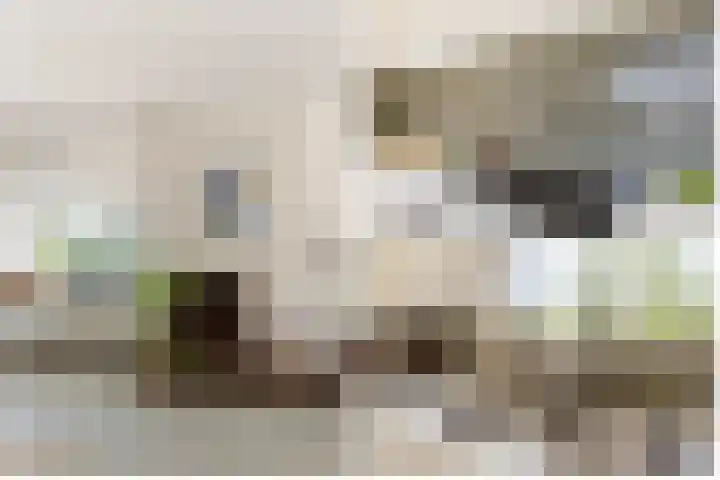 Nieuwe Erven 19 Vught thumbnail 19