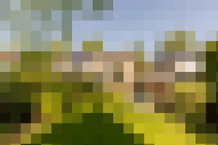Nieuwe Erven 19 Vught foto 2