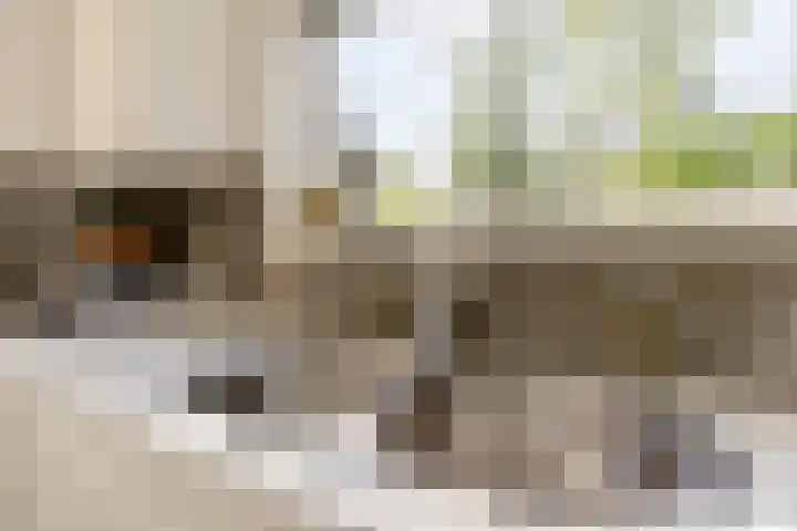 Nieuwe Erven 19 Vught thumbnail 20