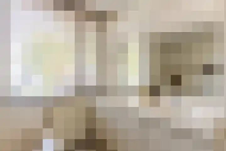 Nieuwe Erven 19 Vught thumbnail 32