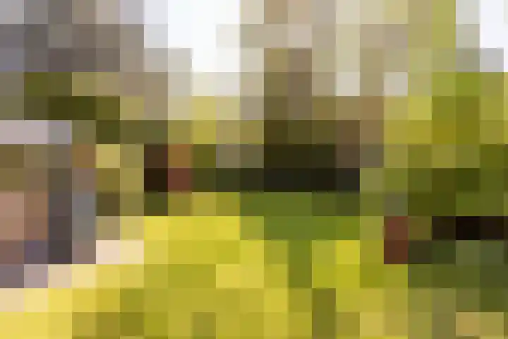 Nieuwe Erven 19 Vught thumbnail 4