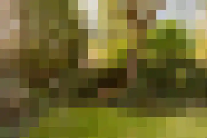 Nieuwe Erven 19 Vught thumbnail 40
