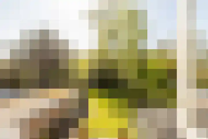 Nieuwe Erven 19 Vught thumbnail 41