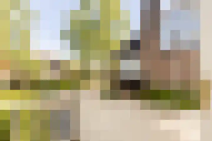 Nieuwe Erven 19 Vught thumbnail 42
