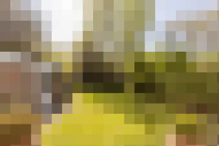 Nieuwe Erven 19 Vught thumbnail 44