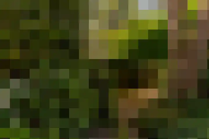 Nieuwe Erven 19 Vught thumbnail 45