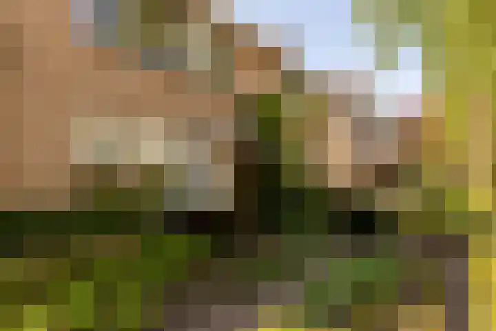Nieuwe Erven 19 Vught thumbnail 46