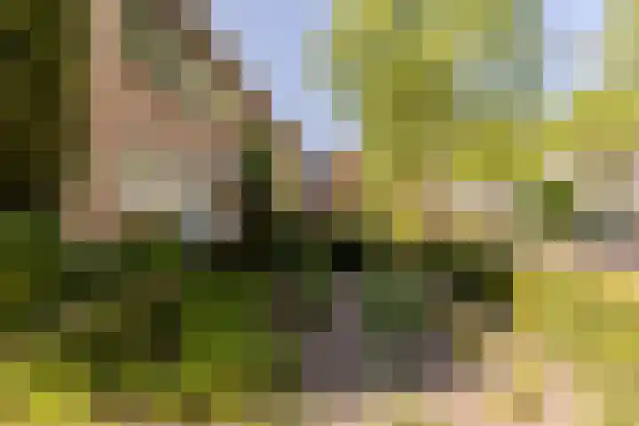 Nieuwe Erven 19 Vught thumbnail 47