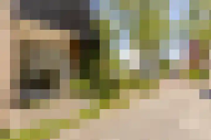 Nieuwe Erven 19 Vught thumbnail 5