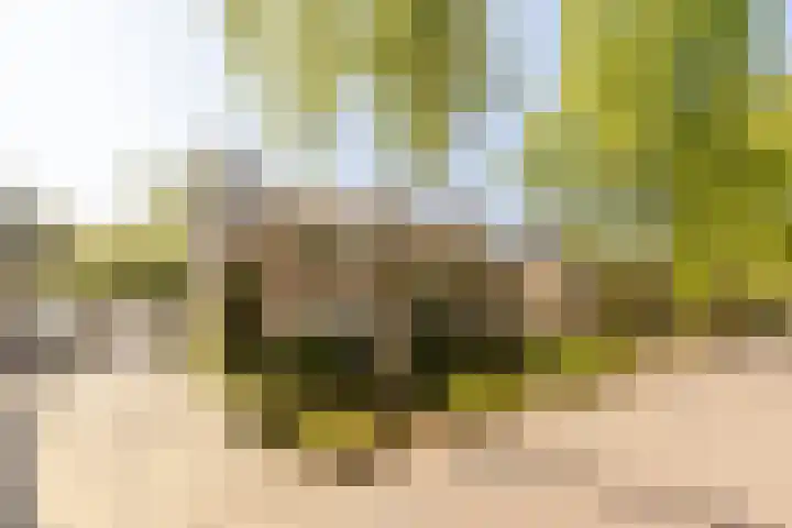 Nieuwe Erven 19 Vught thumbnail 50