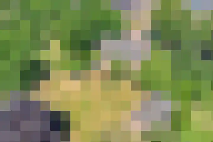Nieuwe Erven 25 Heesch thumbnail 102