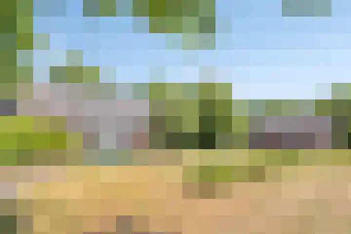 Nieuwe Erven 25 Heesch thumbnail 117