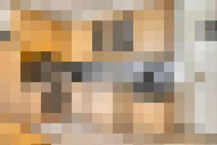 Nieuwe Erven 25 Heesch thumbnail 29