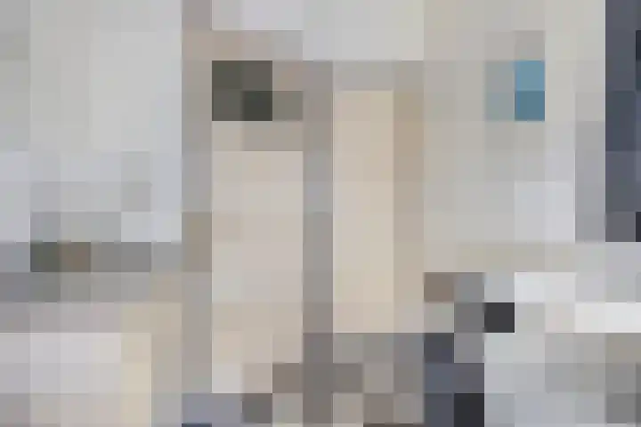 Nieuwe Erven 25 Heesch thumbnail 34