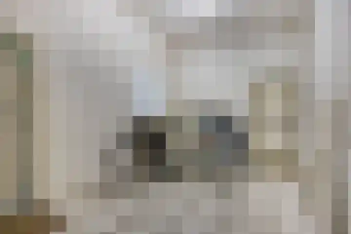 Nieuwe Erven 25 Heesch thumbnail 43