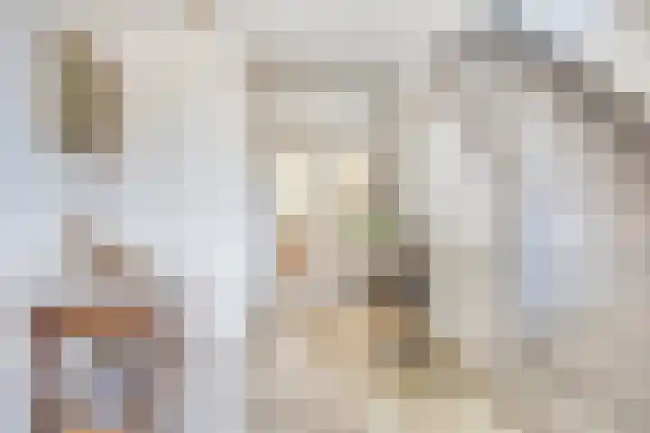 Nieuwe Erven 25 Heesch thumbnail 5