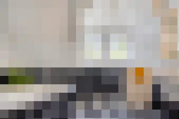 Nieuwe Erven 25 Heesch thumbnail 57