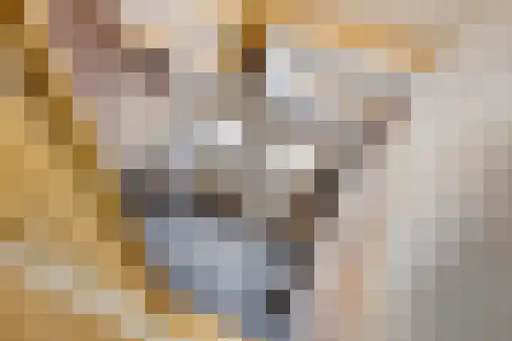 Nieuwe Erven 25 Heesch thumbnail 73