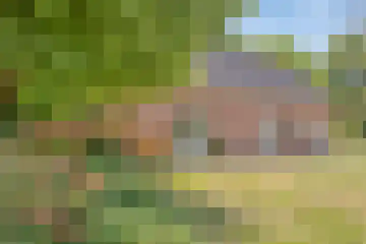 Nieuwe Erven 25 Heesch thumbnail 74
