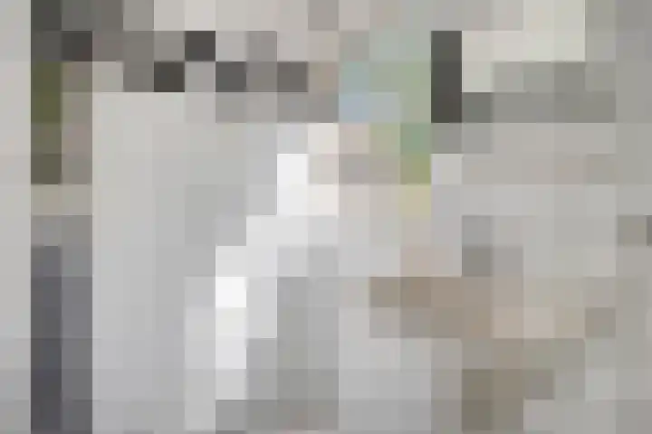 Nieuwe Erven 25 Heesch thumbnail 80