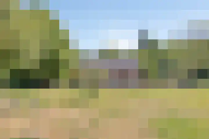 Nieuwe Erven 25 Heesch thumbnail 84