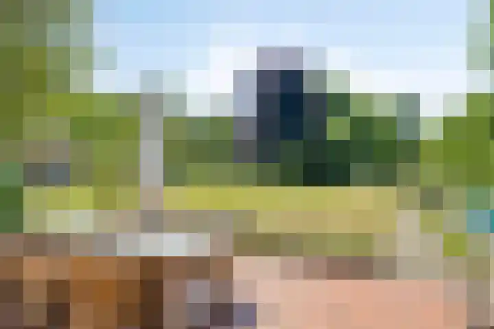 Nieuwe Erven 25 Heesch thumbnail 86