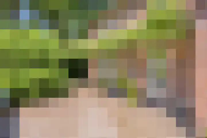 Nieuwe Erven 25 Heesch thumbnail 87