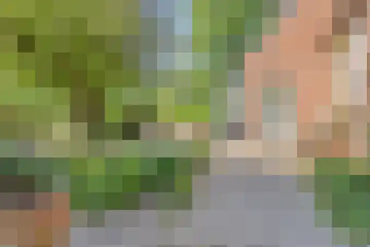 Nieuwe Erven 25 Heesch thumbnail 91