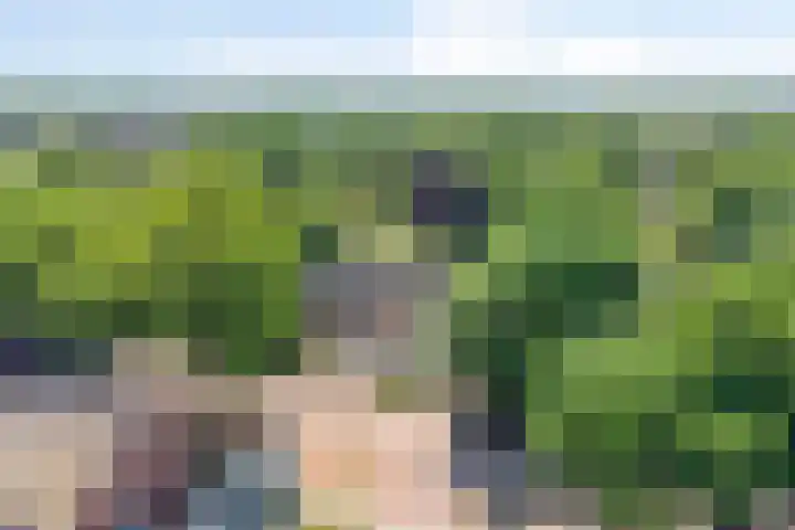Nieuwe Erven 25 Heesch thumbnail 96