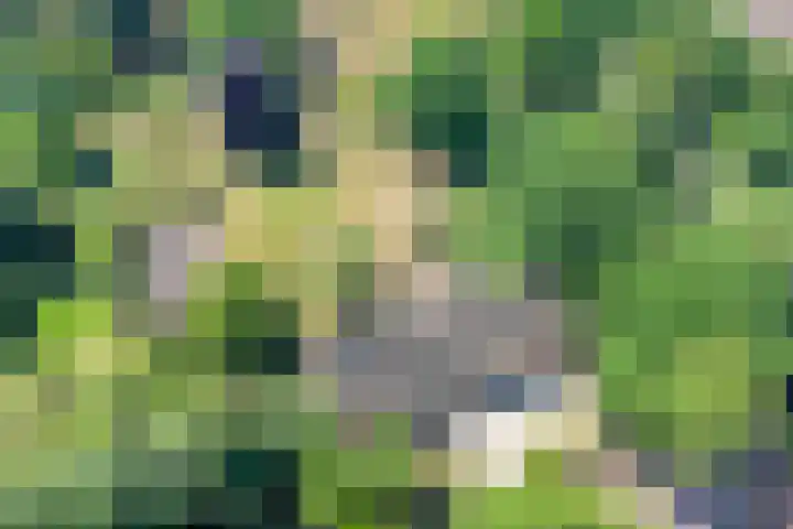 Nieuwe Erven 25 Heesch thumbnail 97
