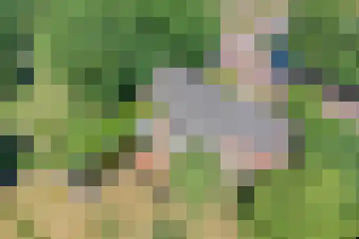 Nieuwe Erven 25 Heesch thumbnail 98