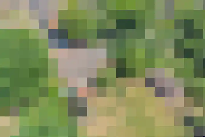 Nieuwe Erven 25 Heesch thumbnail 99